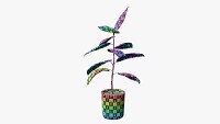 Decorative potted plant 3