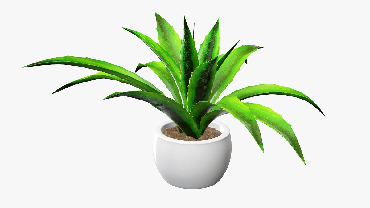 Decorative potted plant 4