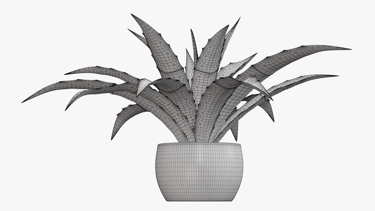 Decorative potted plant 4