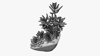 Decorative potted plant 6