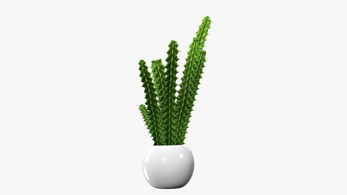 Decorative potted plant 7