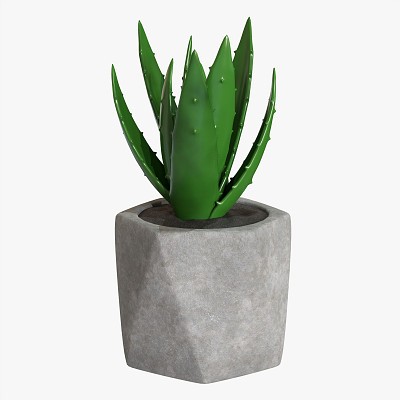 Potted Plant 10