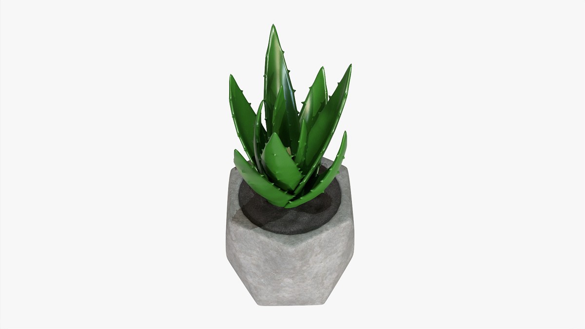 Decorative Potted Plant 10