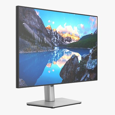 Dell LCD 24 inch monitor