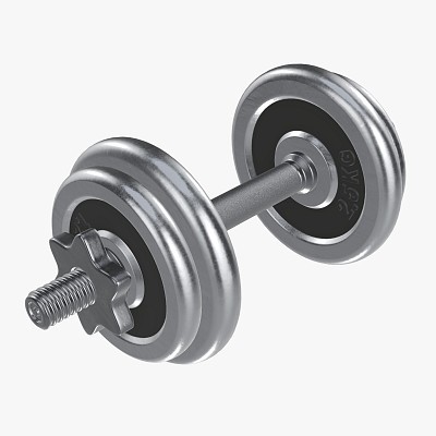 Dumbbell handle weights