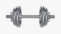 Dumbbell handle with weights