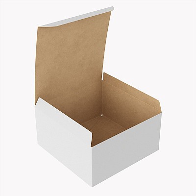Gift Box Paper 04 Opened