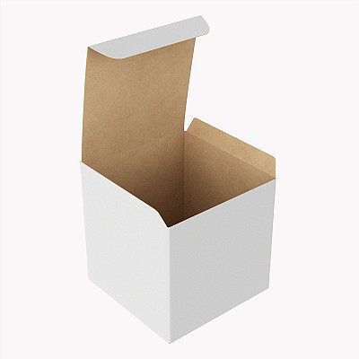 Gift Box Paper 06 Opened