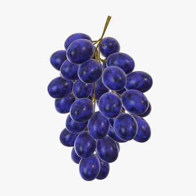 Grapes 04