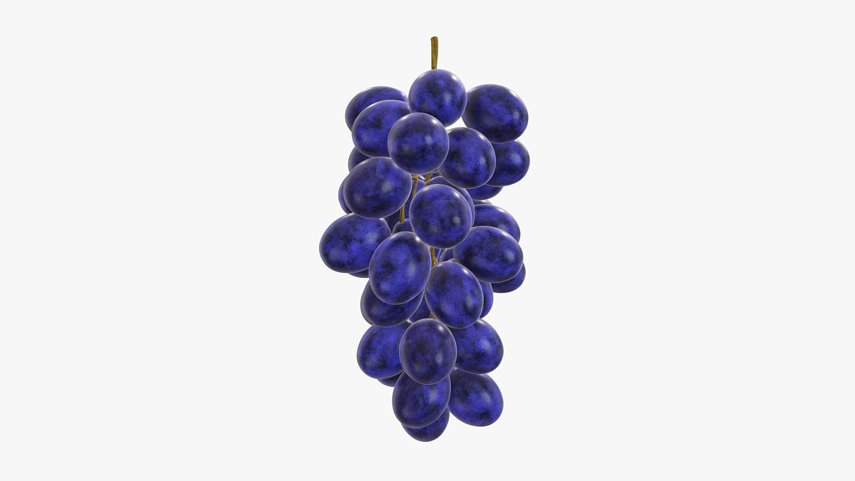 Grapes 04