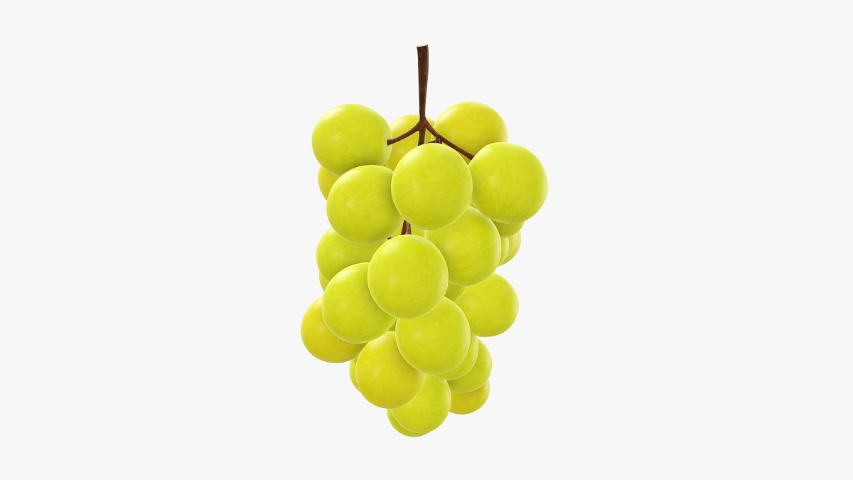 Grapes 06