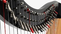 Harp 40-String 03