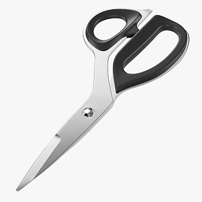 Kitchen scissors 01
