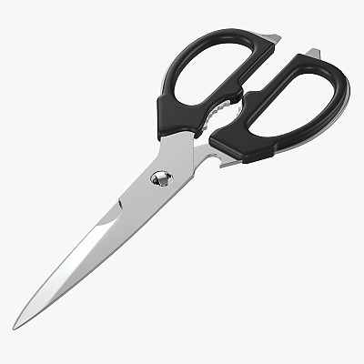 Kitchen scissors 02