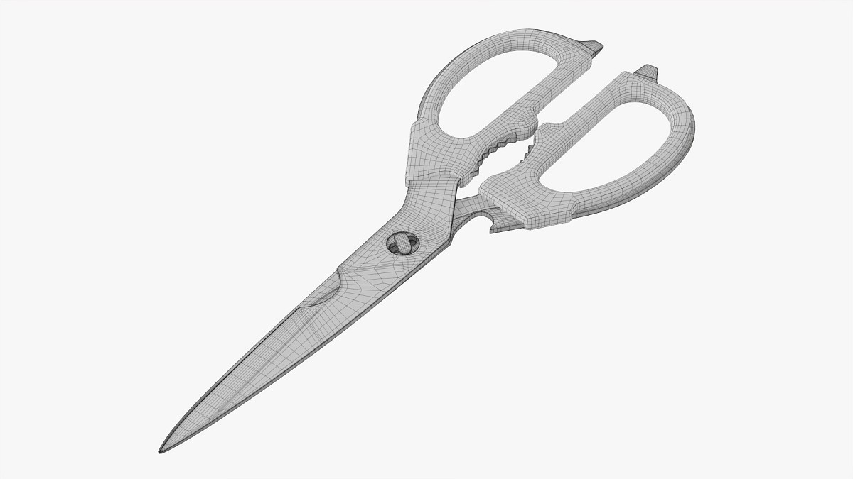 Kitchen scissors 02