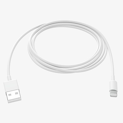 Lightning to USB cable w.
