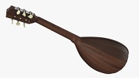 Lute String Instrument