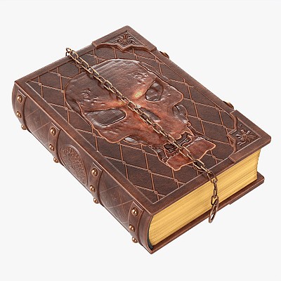 Old book in leather 02