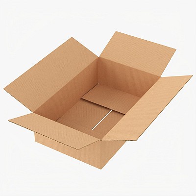 Open Cardboard Box Mock 1
