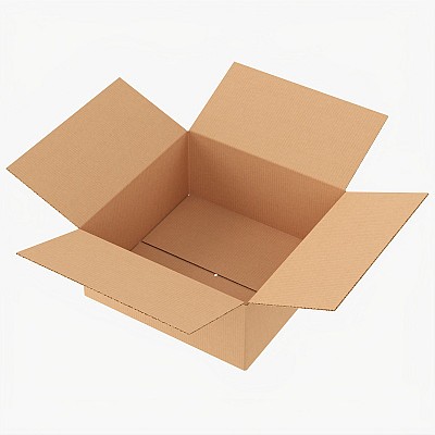 Open Cardboard Box Mock 2