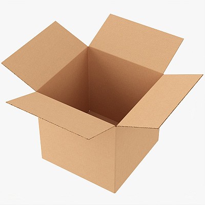 Open Cardboard Box Mock 3