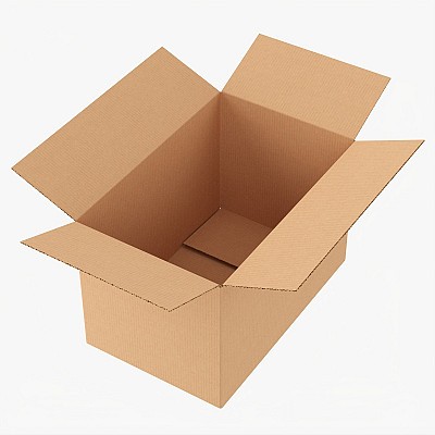 Open Cardboard Box Mock 4