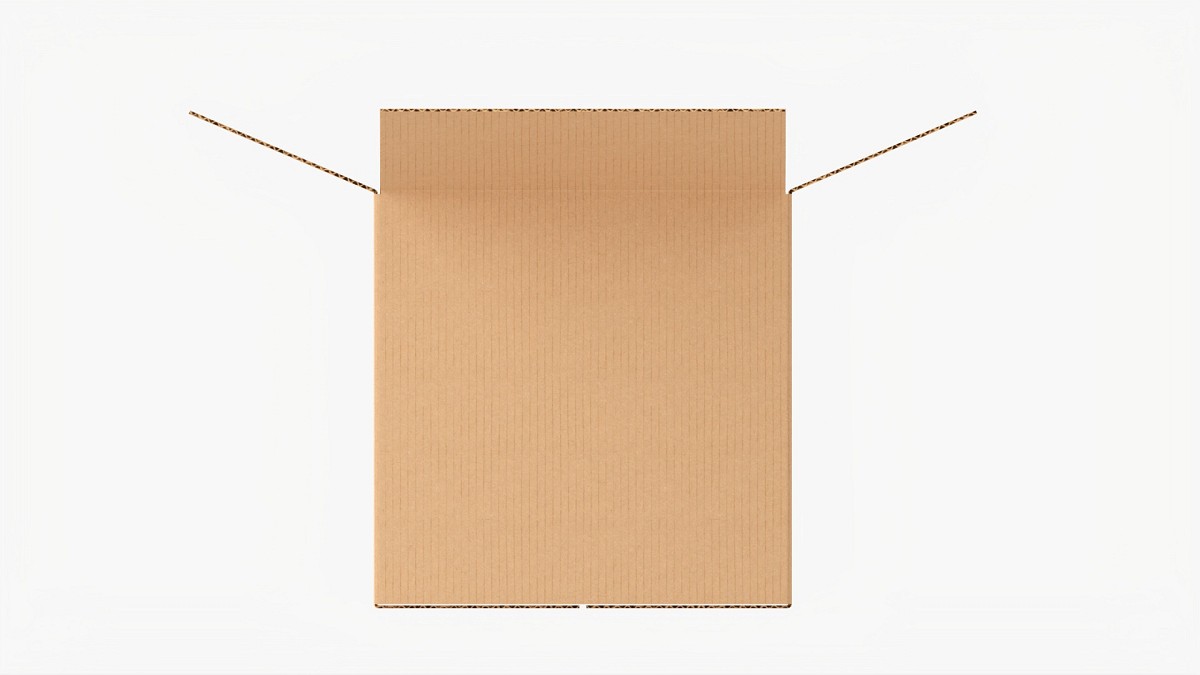 Open Cardboard Box Mockup 4