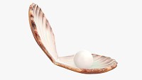 Pearl inside seashell