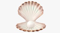 Pearl inside seashell