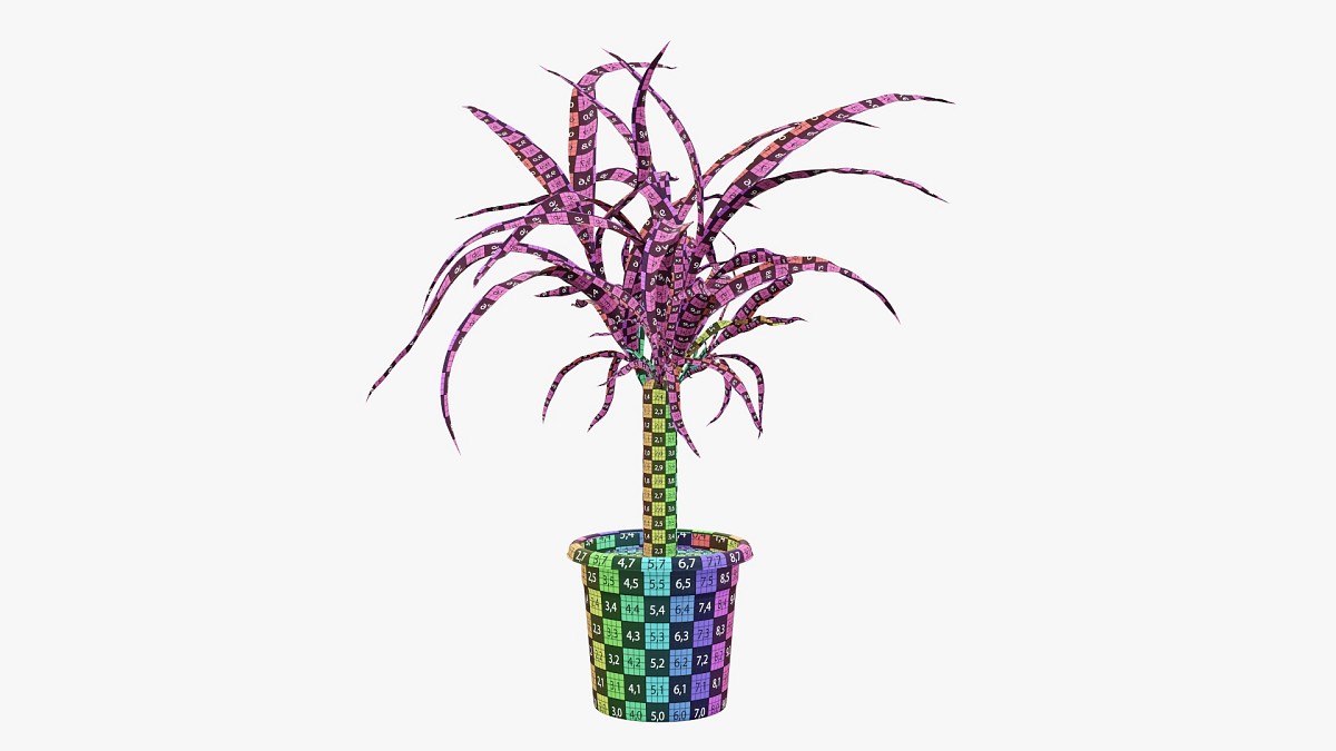 Plant 01