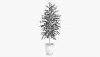 Potted Decorative Tree 02