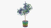 Potted decorative tree