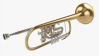 Rotary Valve Trumpet