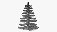 Stylized Christmas fir tree 01