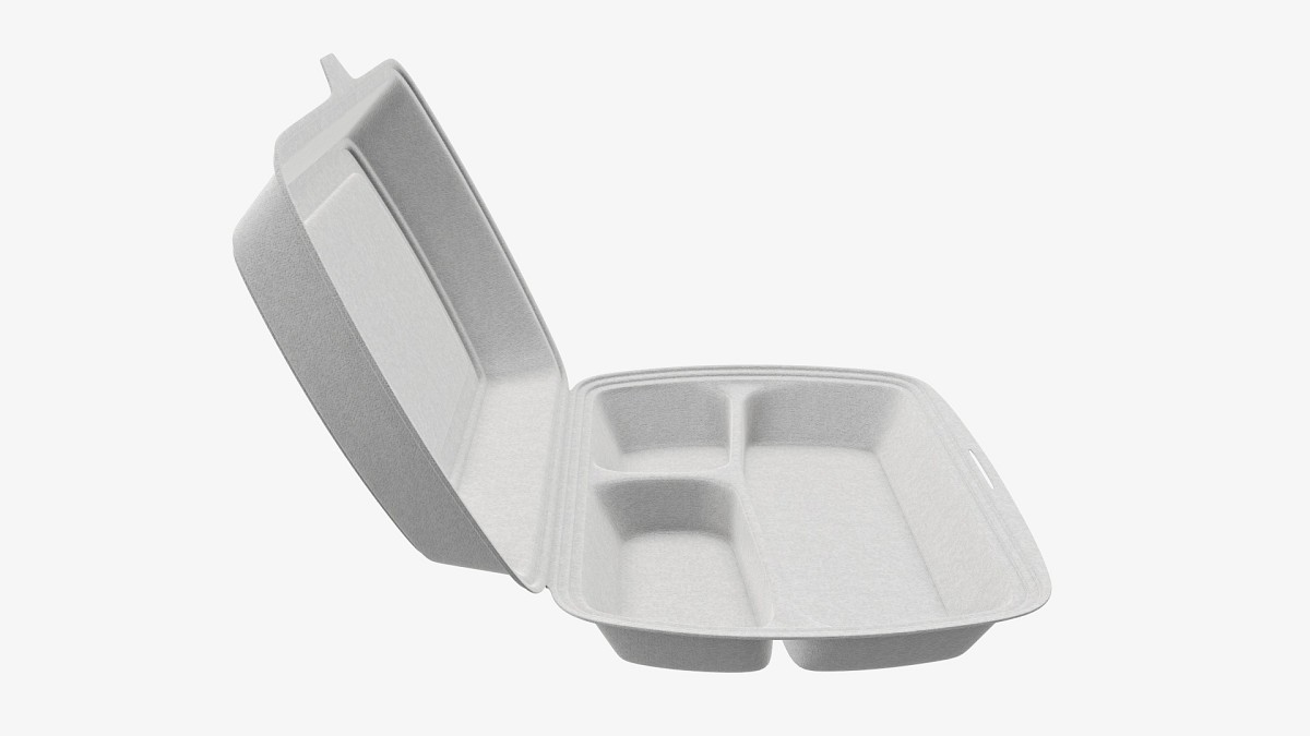 Take-out lunch polystyrene box 2