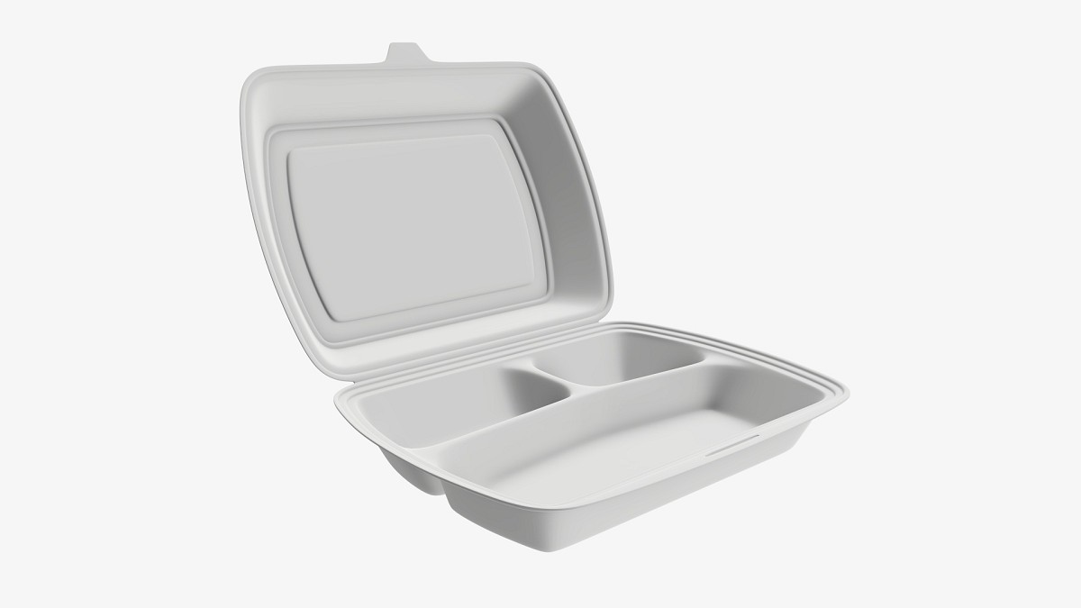 Take-out lunch polystyrene box 2