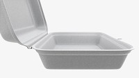 Take-out lunch polystyrene box 03
