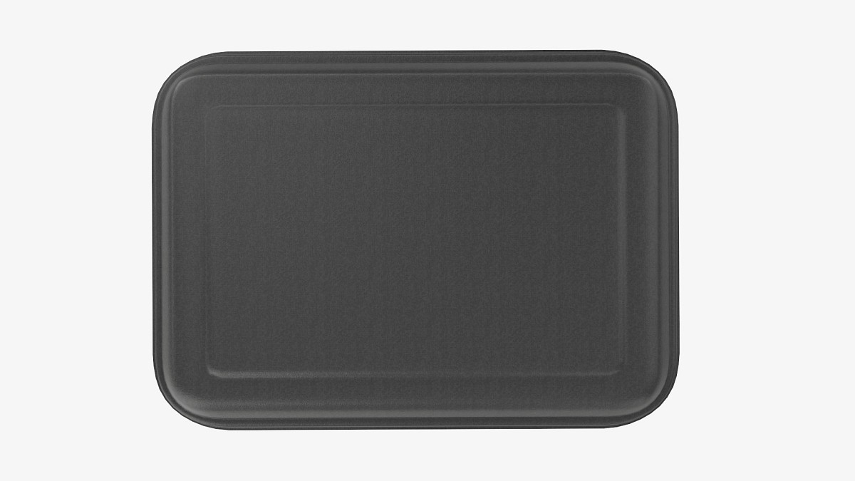 Take-out lunch polystyrene box 05 closed