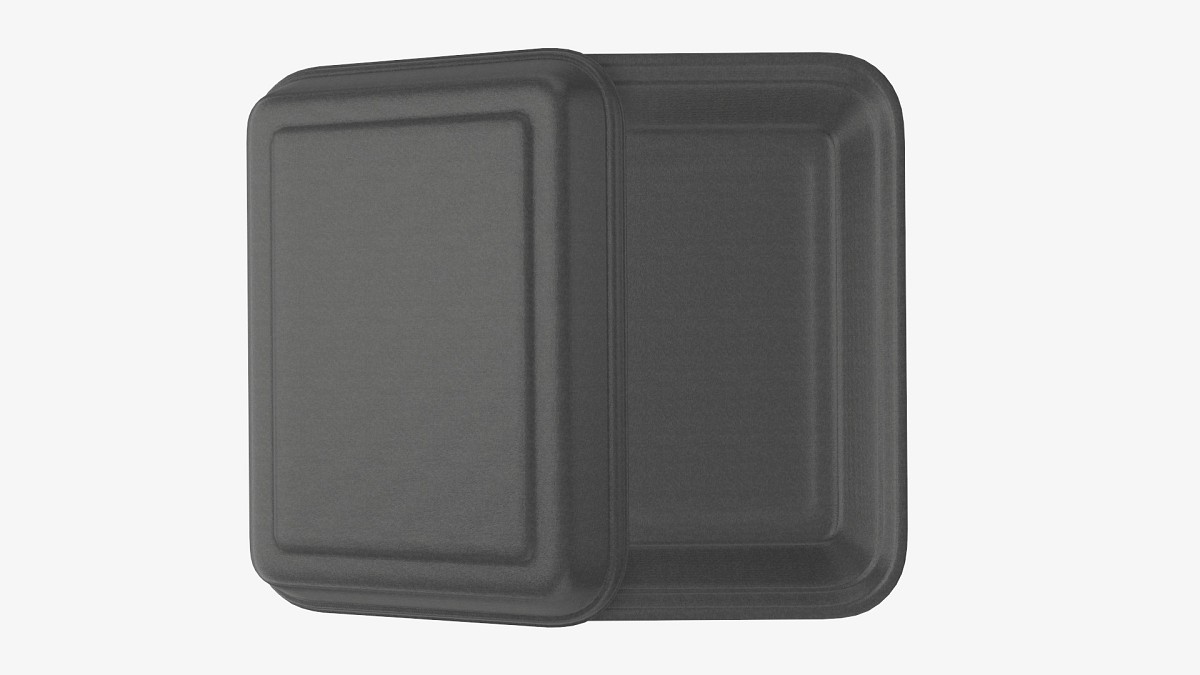 Take-out lunch polystyrene box 06