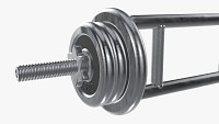Triceps weight bar with weights