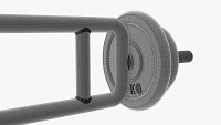 Triceps weight bar with weights