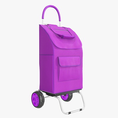 Foldable cart with bag