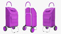 Utility foldable cart with bag