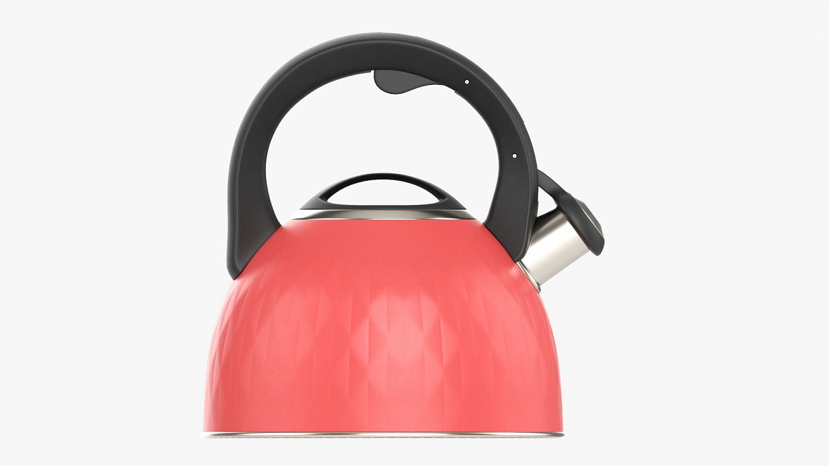Whistle Kettle 02