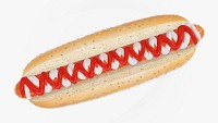 Hot dog with ketchup mayonnaise seeds