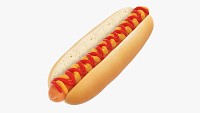 Hot dog with ketchup mustard
