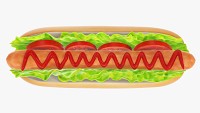 Hot dog with ketchup salad tomato stylized