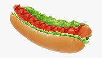 Hot dog with ketchup salad tomato v2