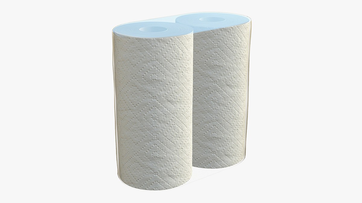 Paper towel 2 pack small
