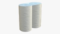 Paper towel 2 pack small